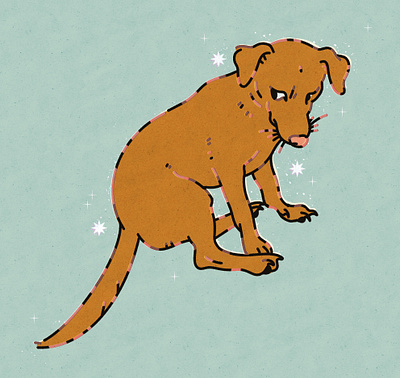 Daisy dog cute design dog illustration procreate puppy texture