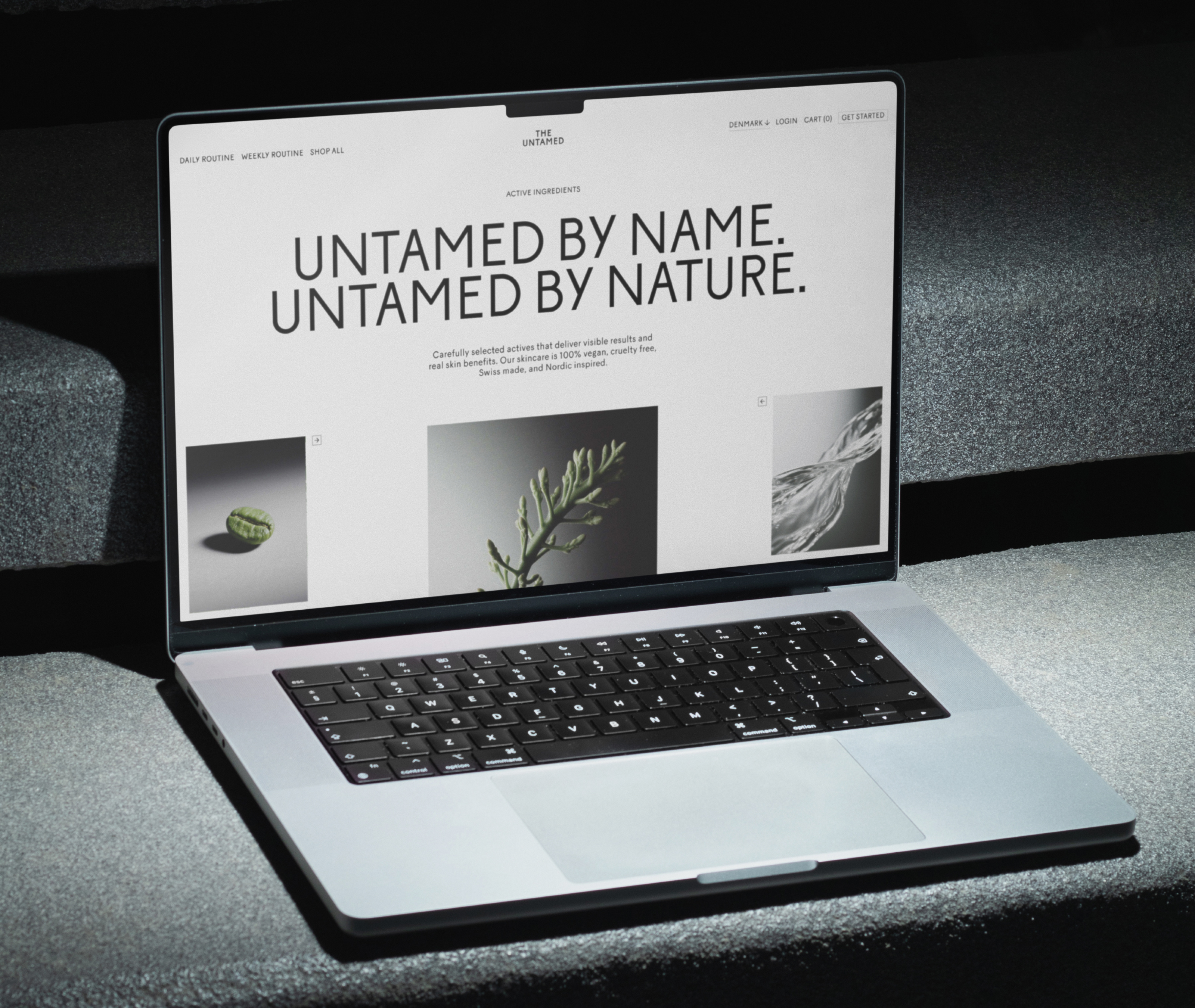 The Untamed - Website Design, 01