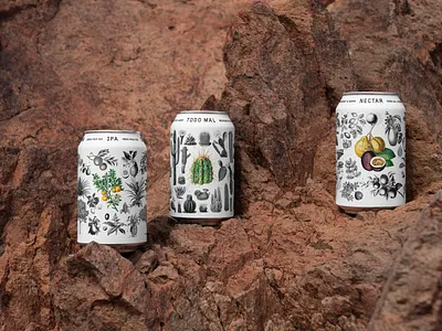Uproot Brewing Packaging 12oz alabama beer can birmingham botanical branding brewery brewing cactus cans craft beer floral fruit fruits graphic design illustration logo packaging plant root