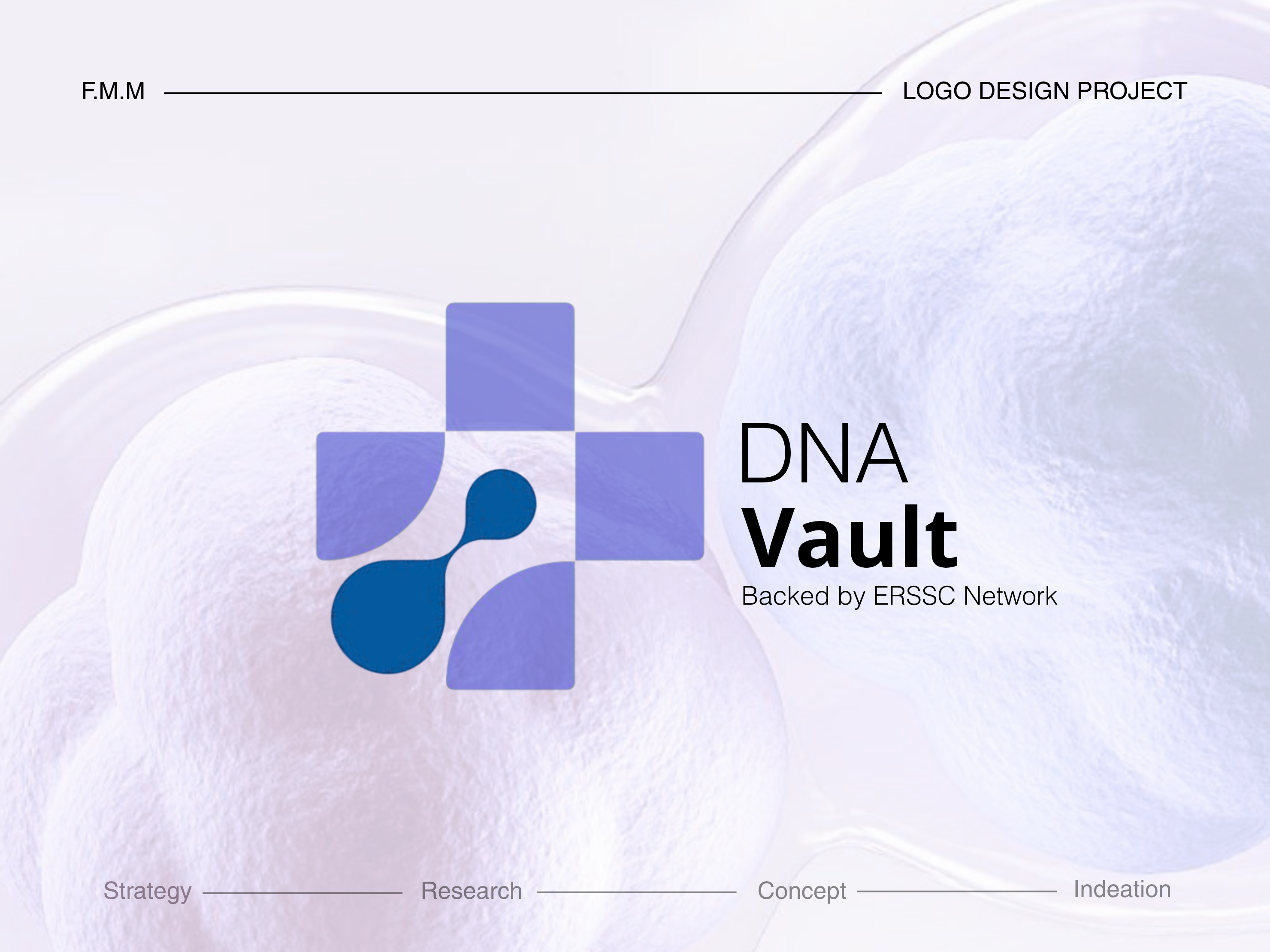 Example of Brand Audit