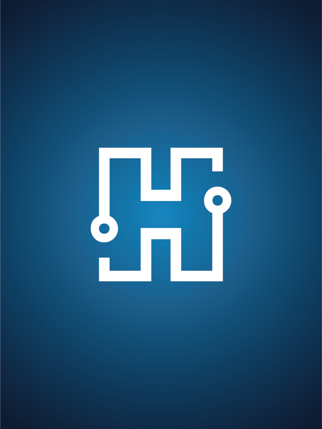 Havoc Network Solutions Branding