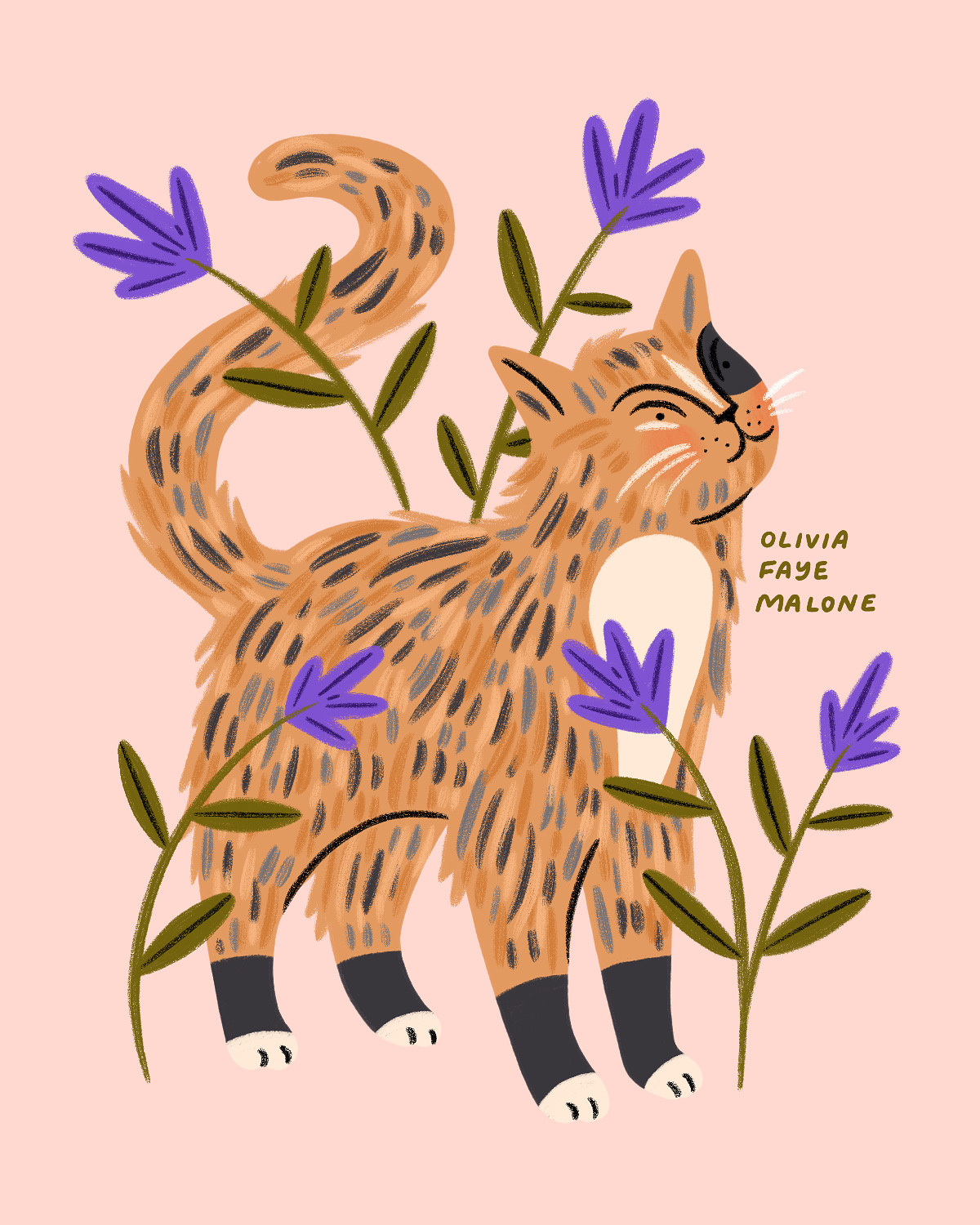 Cat Portrait cat cat portrait design flowers furry hand drawn illustration illustrator pet procreate