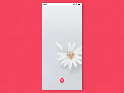 Airbnb UI Prototype 100 days after effects airbnb animation design dribbble motion design motion graphics product design shot ui ux