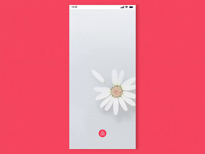 Airbnb UI Prototype 100 days after effects airbnb animation design dribbble motion design motion graphics product design shot ui ux
