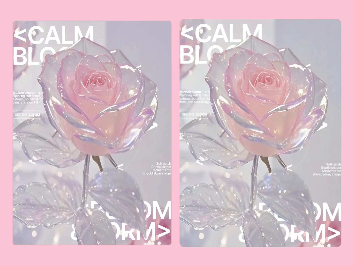 Calm Bloom — Animated Visual Exploration