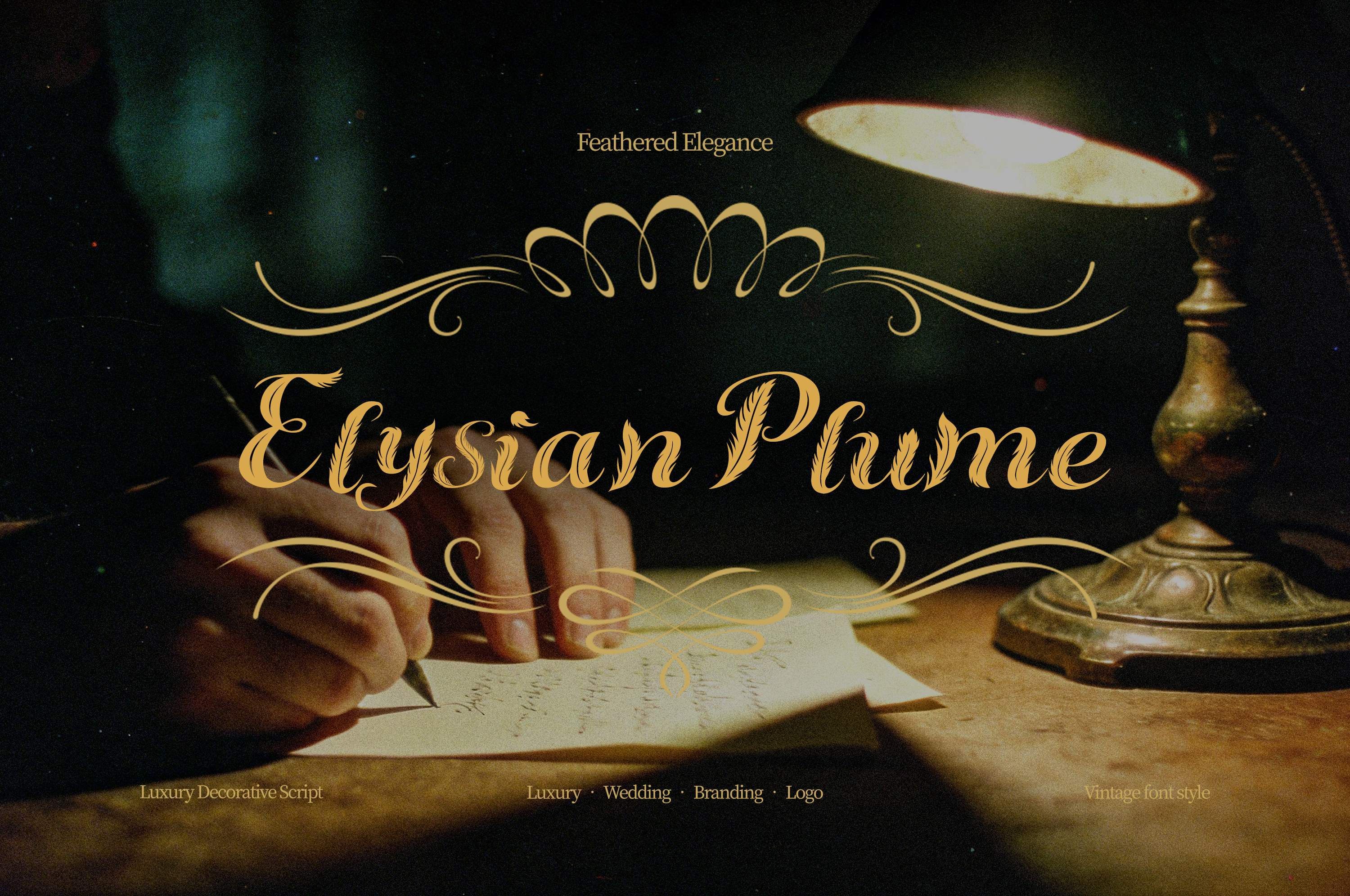 Feather Elegance — Decorative Script Typeface