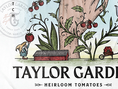 Taylor Garden - Heirloom tomatoes farm branding branding design etching farm farm logo graphic design hand drawn illustration illustration artist logo design modern logo monogram monogram design organic retro logo rustic logo texture vintage logo vintage modern design vintage modern logo