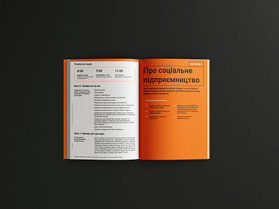 SimpleSE. Social entrepreneurship in simple terms! | Book Design book book design editorial illustration