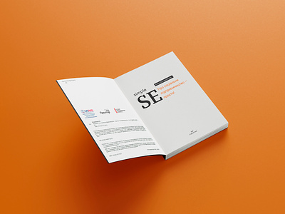 SimpleSE. Social entrepreneurship in simple terms! | Book Design book book design editorial illustration