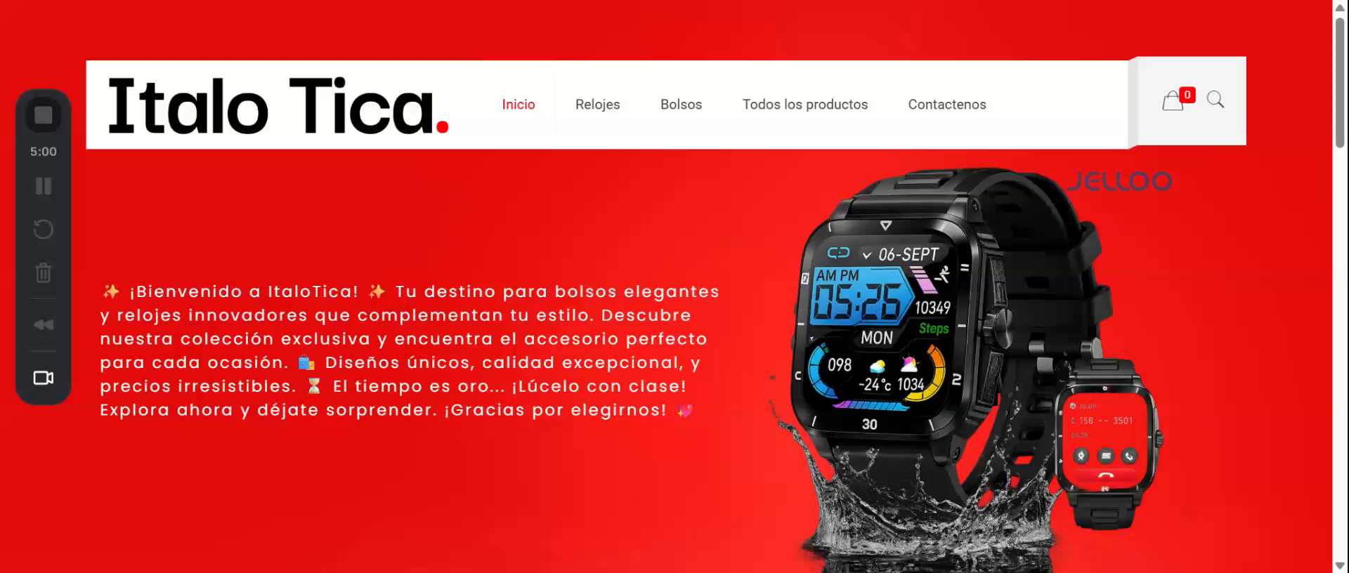 Ecommerce Developed in WordPress