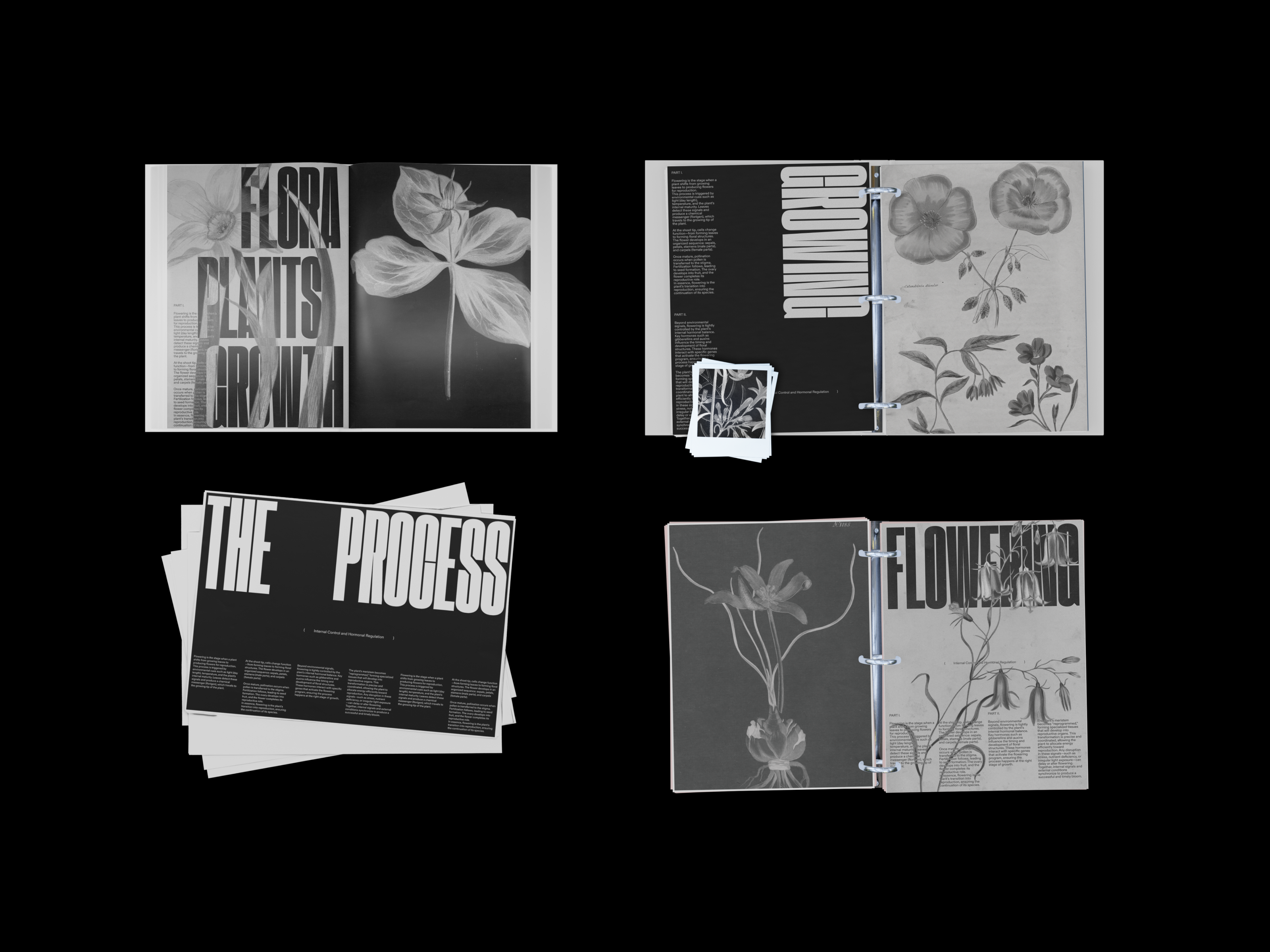 Flowering - The Process art direction bold branding creative direction design graphic design layout minimal minimalist modern photography poster design typographic typography ui whitespace