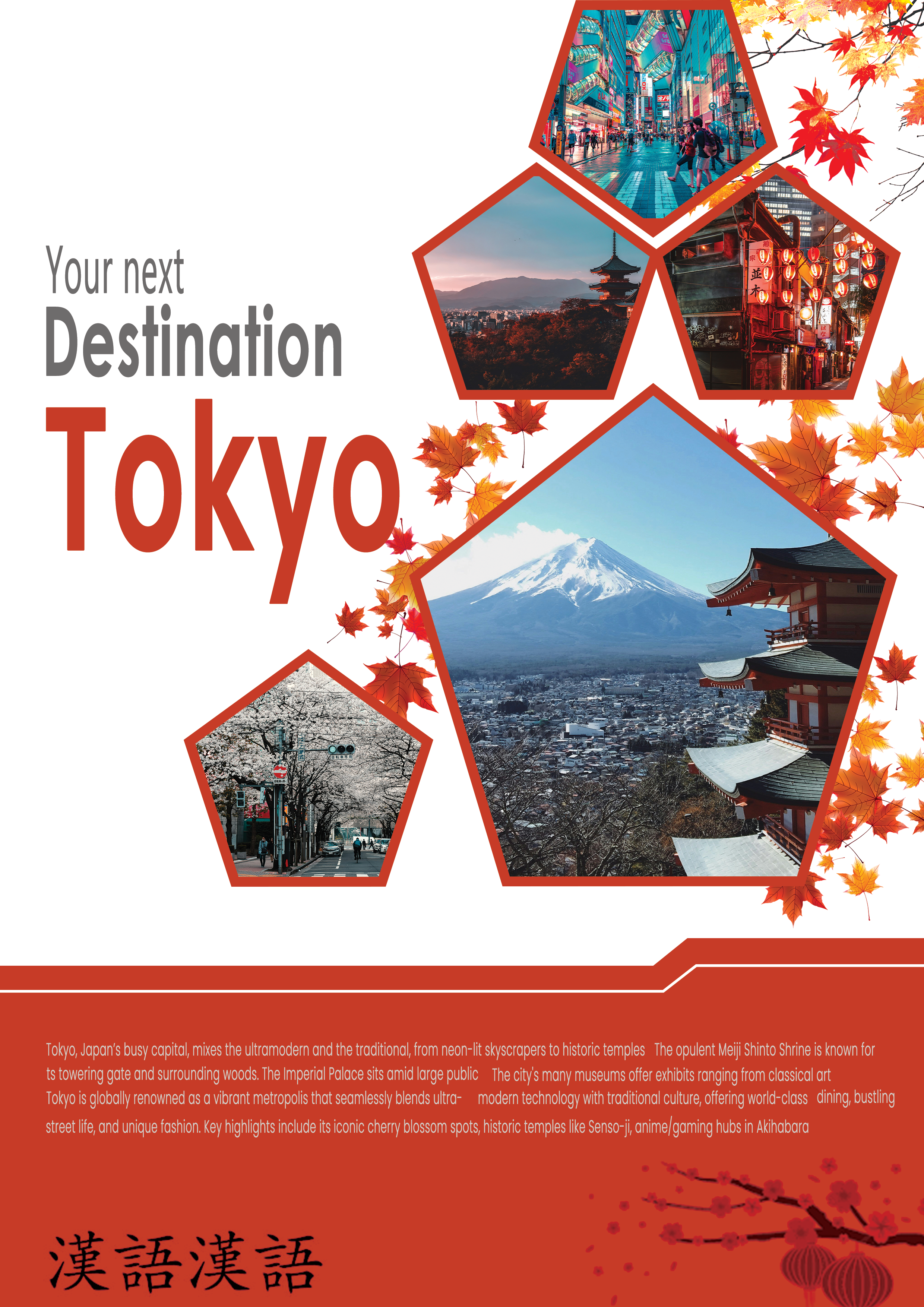 Tokyo Brochure Designing 3d animation branding brochure design creative design design graphic design illustration logo poster ui vector