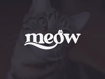 Custom CatCare Brand Identity Design | MEOW animal logo brand identity cat logo cat silhouette catcare branding custom typography dribbble design logo design minimal logo modern logo pet brand identity pet packaging premium branding serif logo wordmark logo