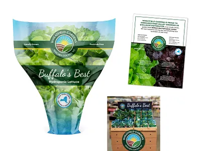 Hydroponic Lettuce Packaging + Marketing Materials advertising design display flyer food graphic design grocery icons layout lettuce marketing package design packaging pop display sign signage typography