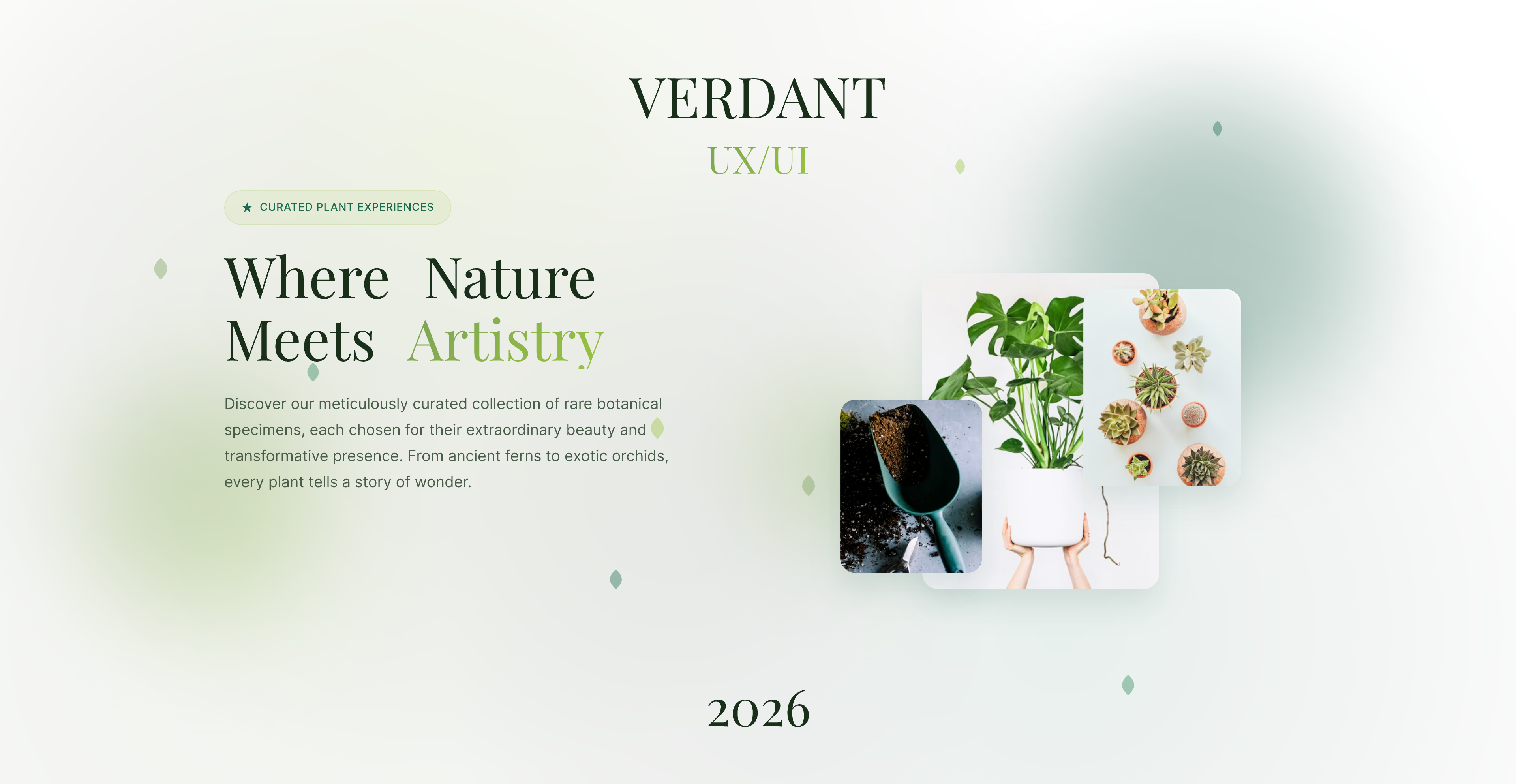 Verdant is a sanctuary for the senses