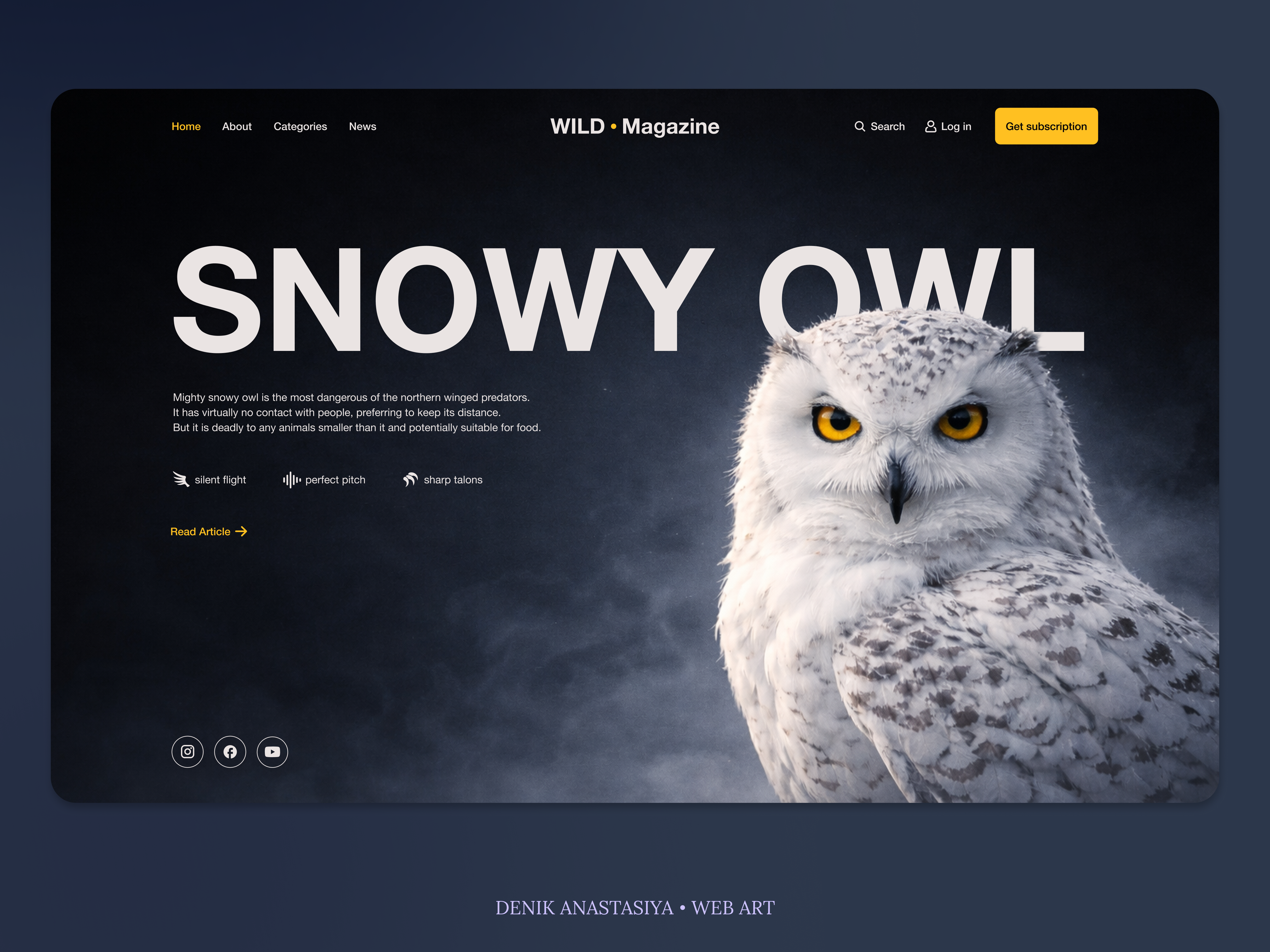 Snowy Owl: Wildlife Magazine Landing Page (Dark UI) bold typography dark ui dark website editorial design hero section homepage landingpage magazine minimal nature website owl sans serif typography wildlife