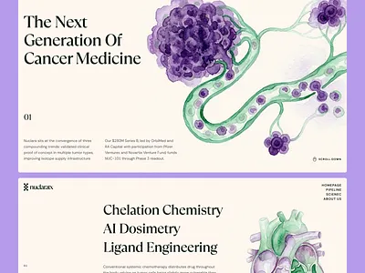 nuclaratx: AI Precision Oncology - Cancer Metastasis & Science biopharma biotech biotech branding biotech website cancer cell cancer metastasis chelation chemistry drug discovery drug discovery website green life sciences ligand engineering minimal modern oncology precision medicine precision oncology purple radiopharmaceuticals theranostics