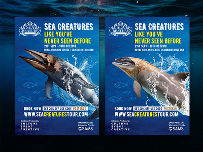 Sea Creatures Poster design graphic design