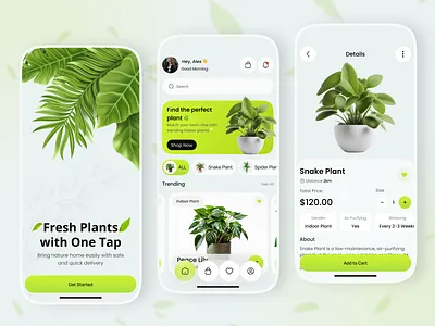 Plant Marketplace Mobile App app inspiration dribbble dribbble shot ecommerce app design gardening app minimal ui mobile app design modern app design nature app plant care app plant delivery app plant ecommerce plant lover plant marketplace plant shopping app plant store app plant ui design product design ui ux design