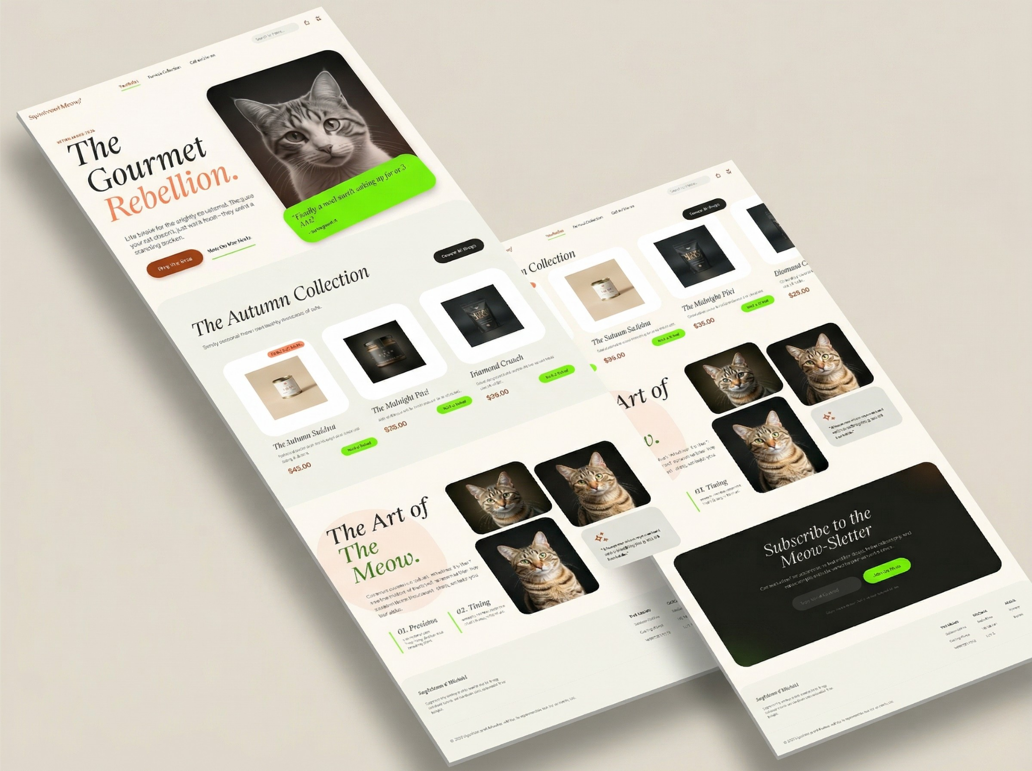 Example of Modern UI/UX & Website Development