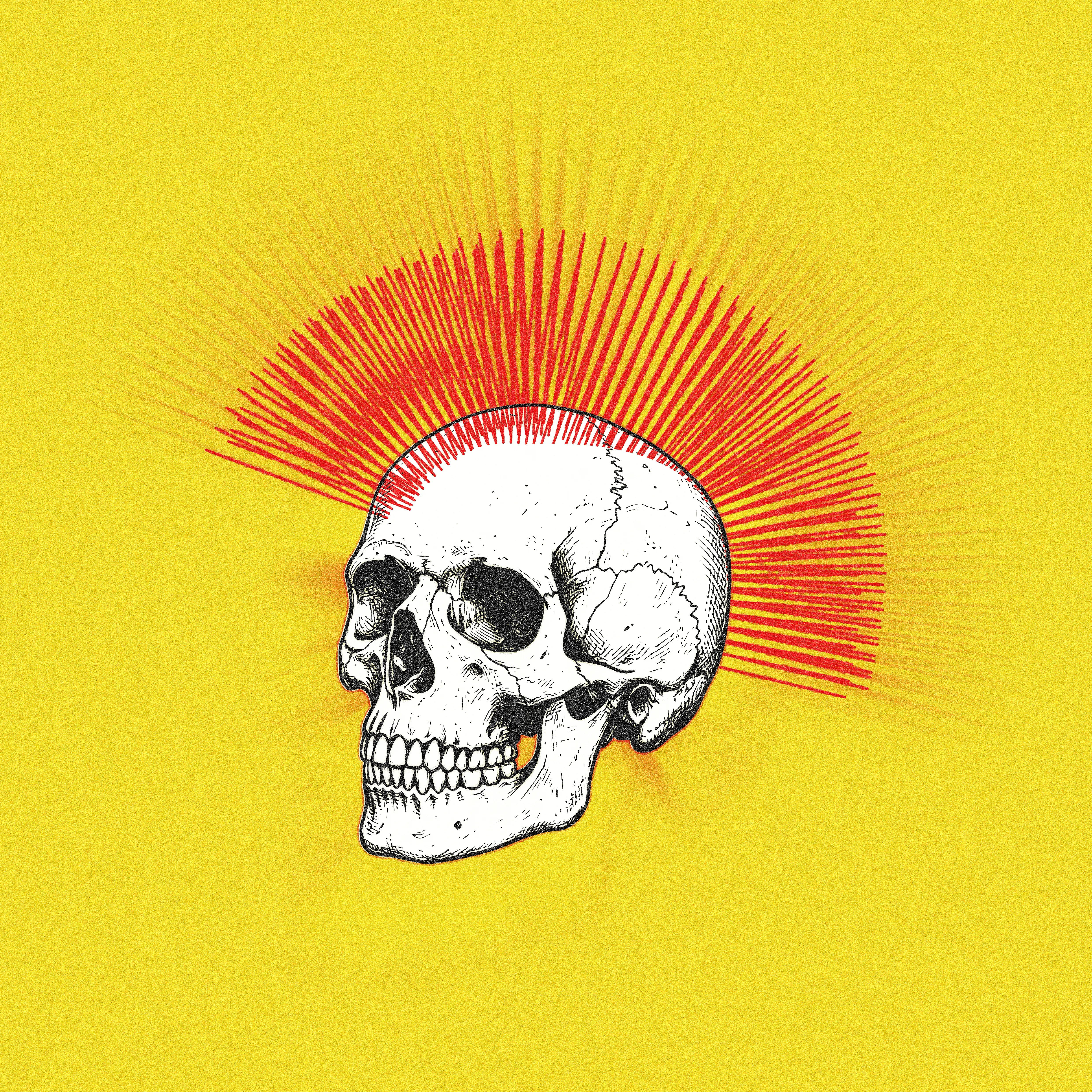 punks not dead illustration noise punk punks not dead shunte88 vector