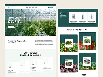 Dieng Agro – Modern Agriculture Website Design agriculture cleanui digitaldesign farming minimal moderndesign organic productdesign sustainability ui uidesign uiux uxdesign webdesign website websitedesign