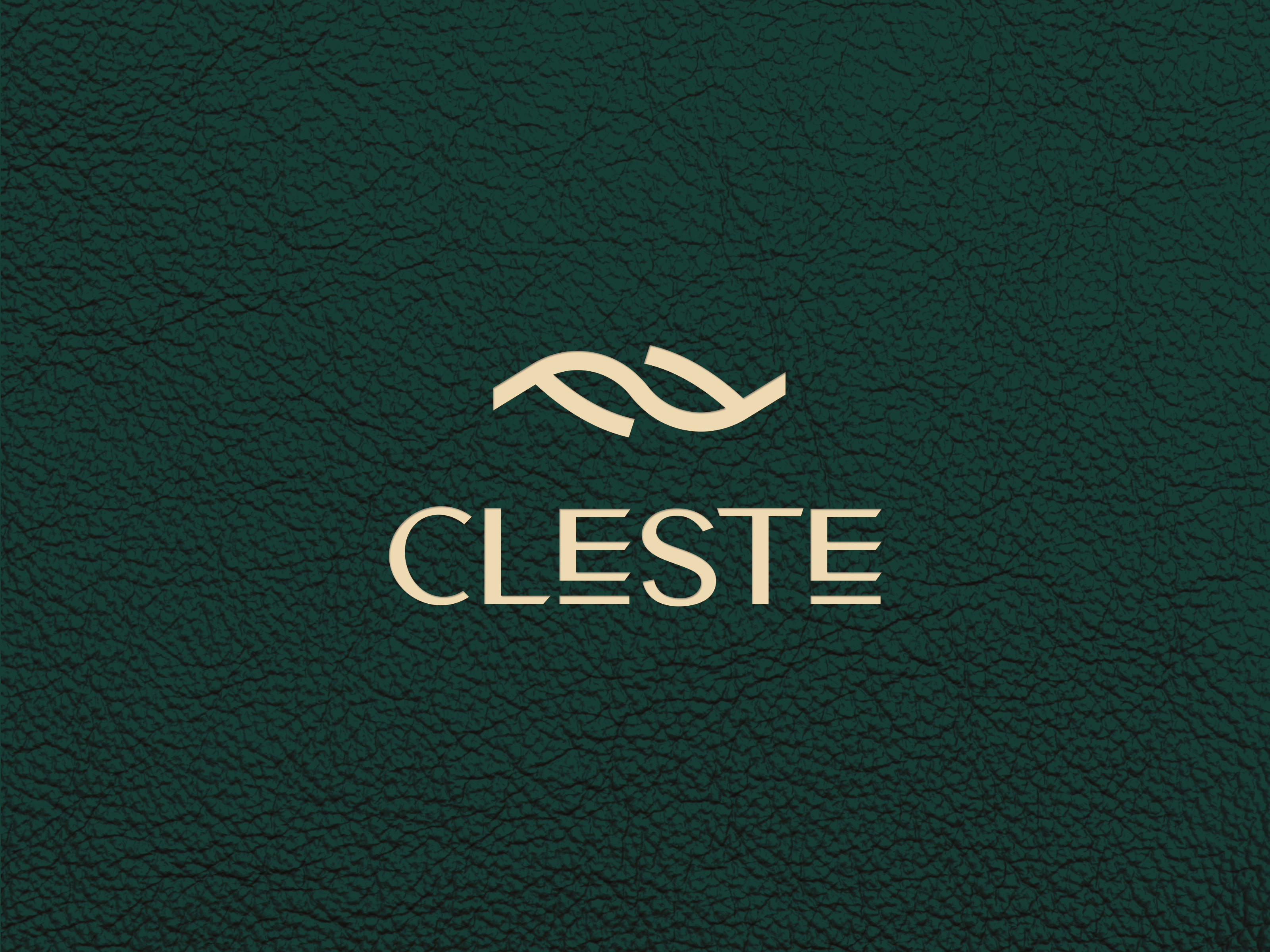 Example of Logo Design & Brand Identity Brand Book