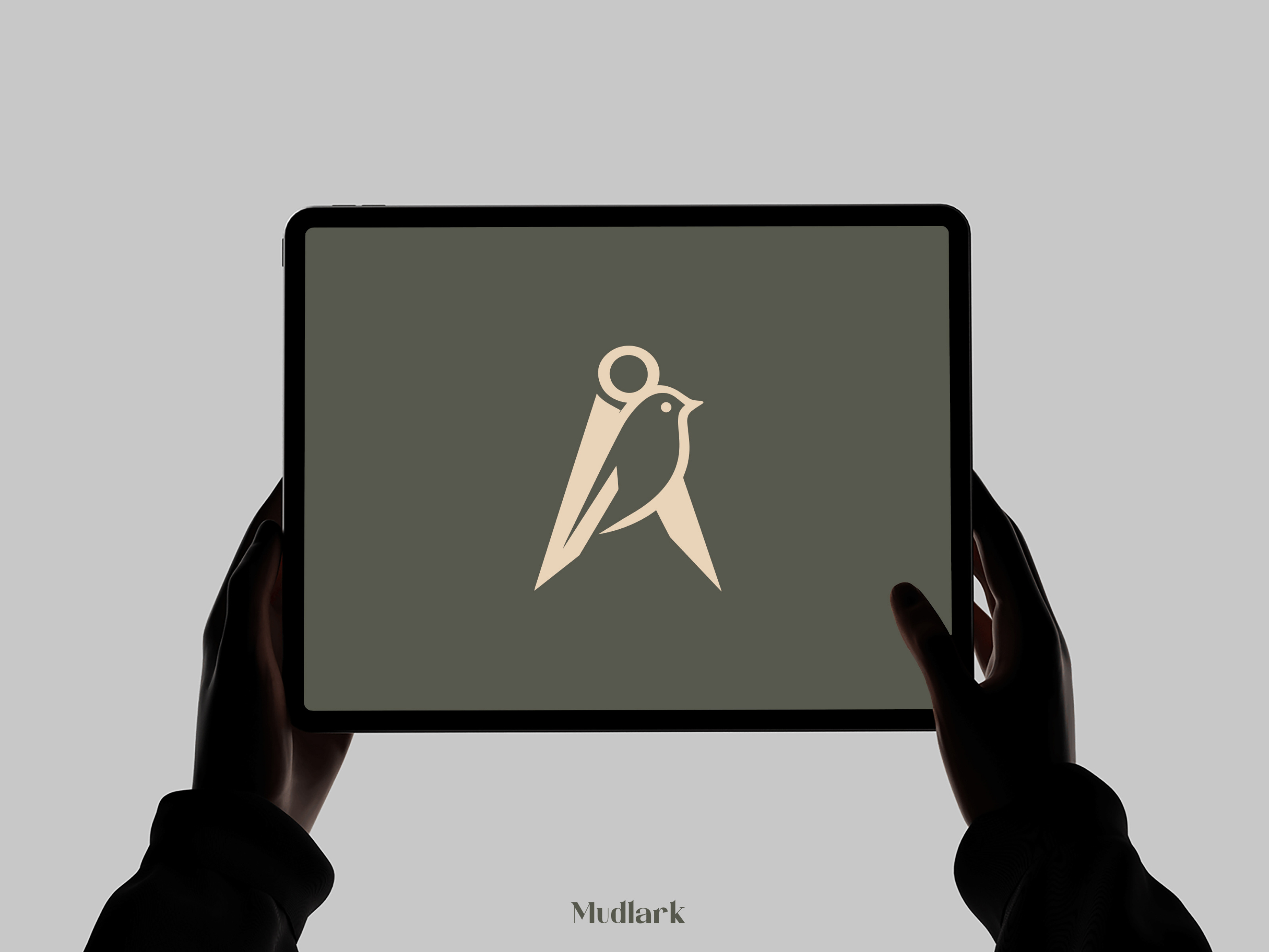 Example of Standard Logo Design