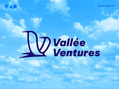 Vallée Ventures — Travel Agency Logo arctic tern brand identity branding flying graphic design logo travel travel agency wings