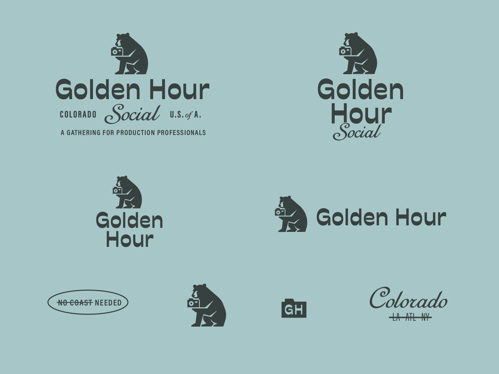 Golden Hour Photographer Bear Illustration | Logo Suite
