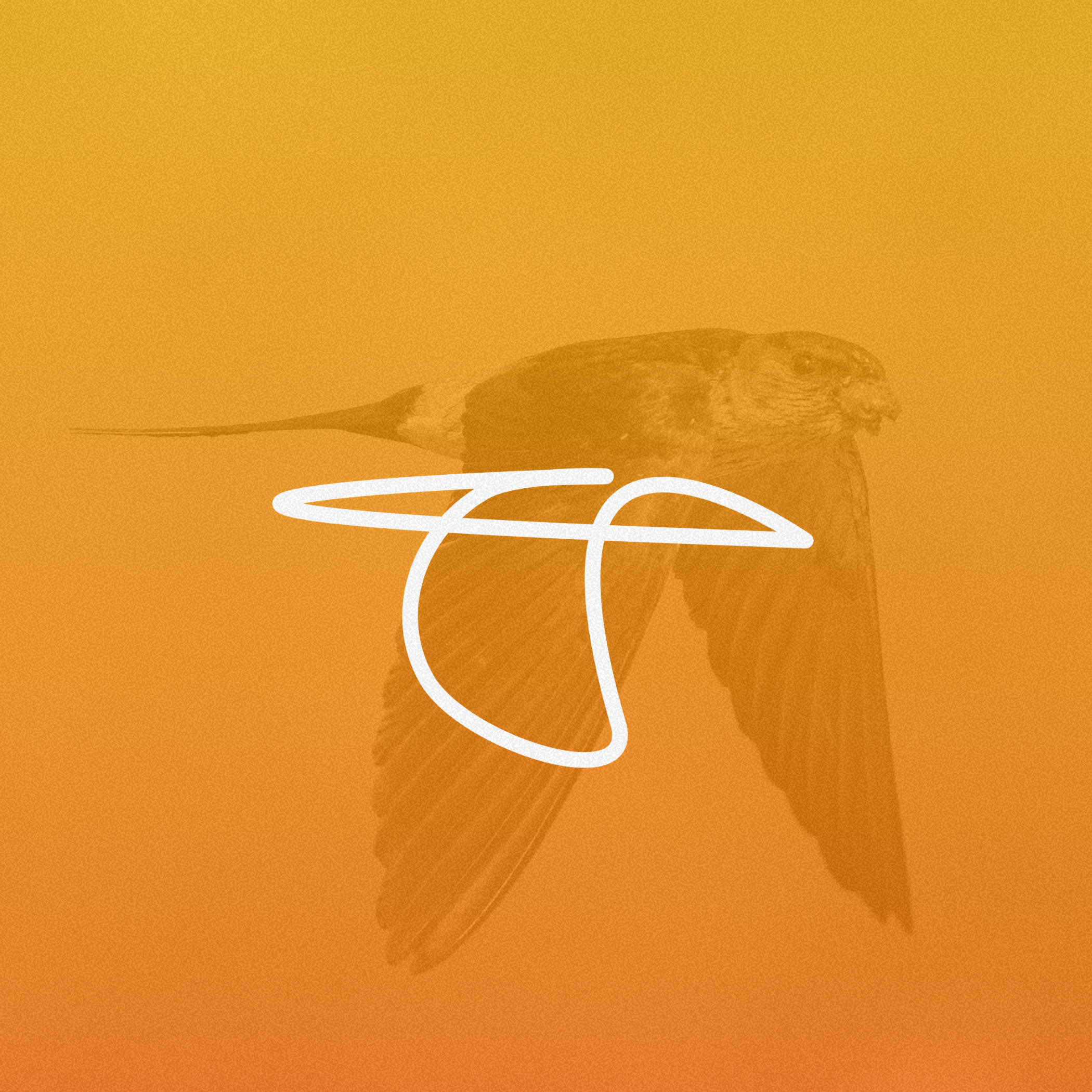 Custom App Logo Design | Birdu app icon design app logo design bird logo clean typography favicon design fluid curves minimal line art logo modern brand identity professional logo design responsive logo scalable logo for web and print startup branding tech brand identity ui identity warm accent