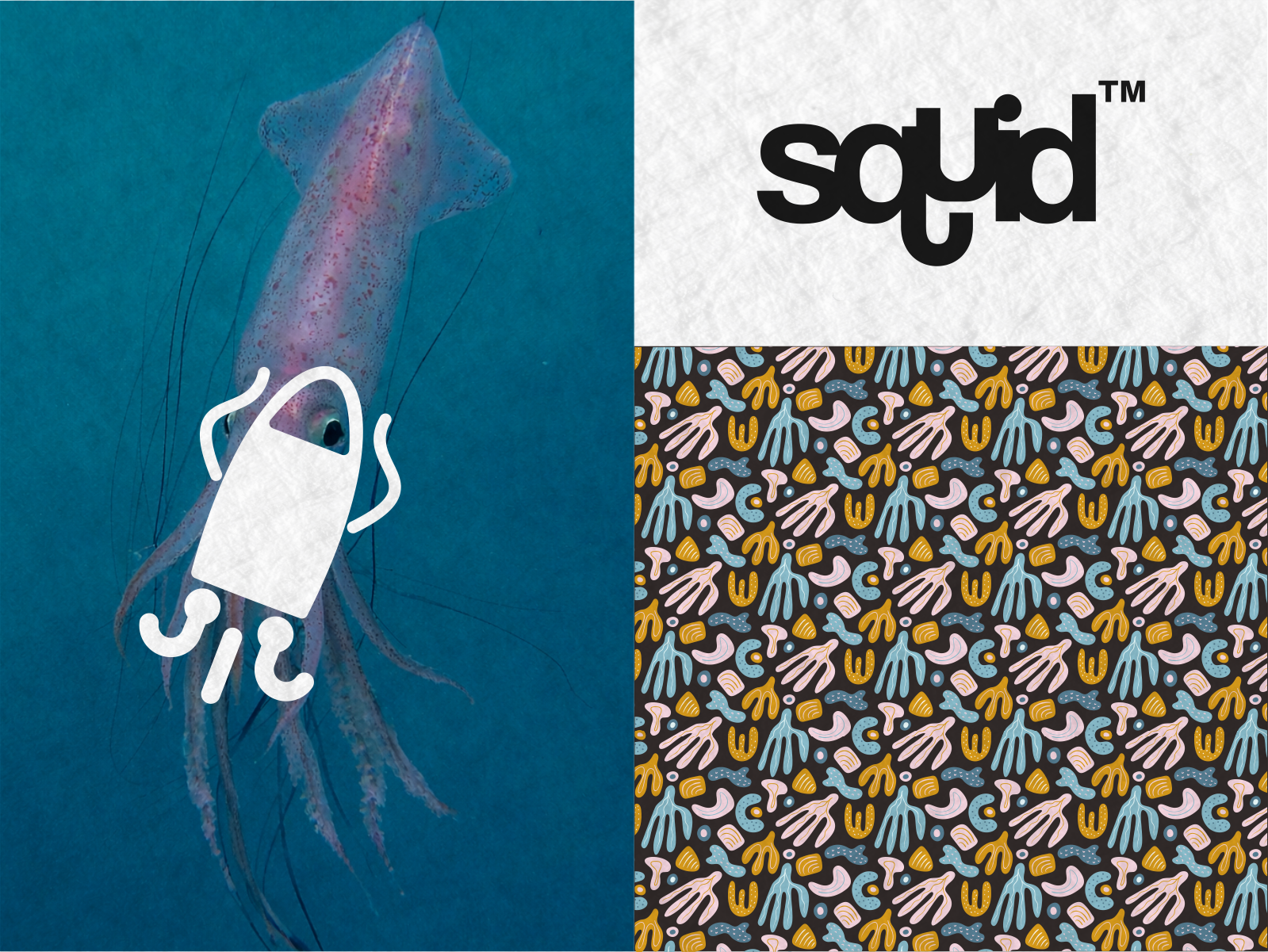 Squid Logo and Visual Design animal apron brand branding design food graphic design inspiration logo modern restaurand sea seafood squid vector