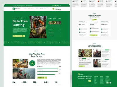Tree Service and Tree Care Company gardening homepage landing landing page tree care website tree services website tree surgeon website tree trimming treecare treecutting treemaintenance treepruning treeremoval treeservice treesurgeon ui uiux web design website