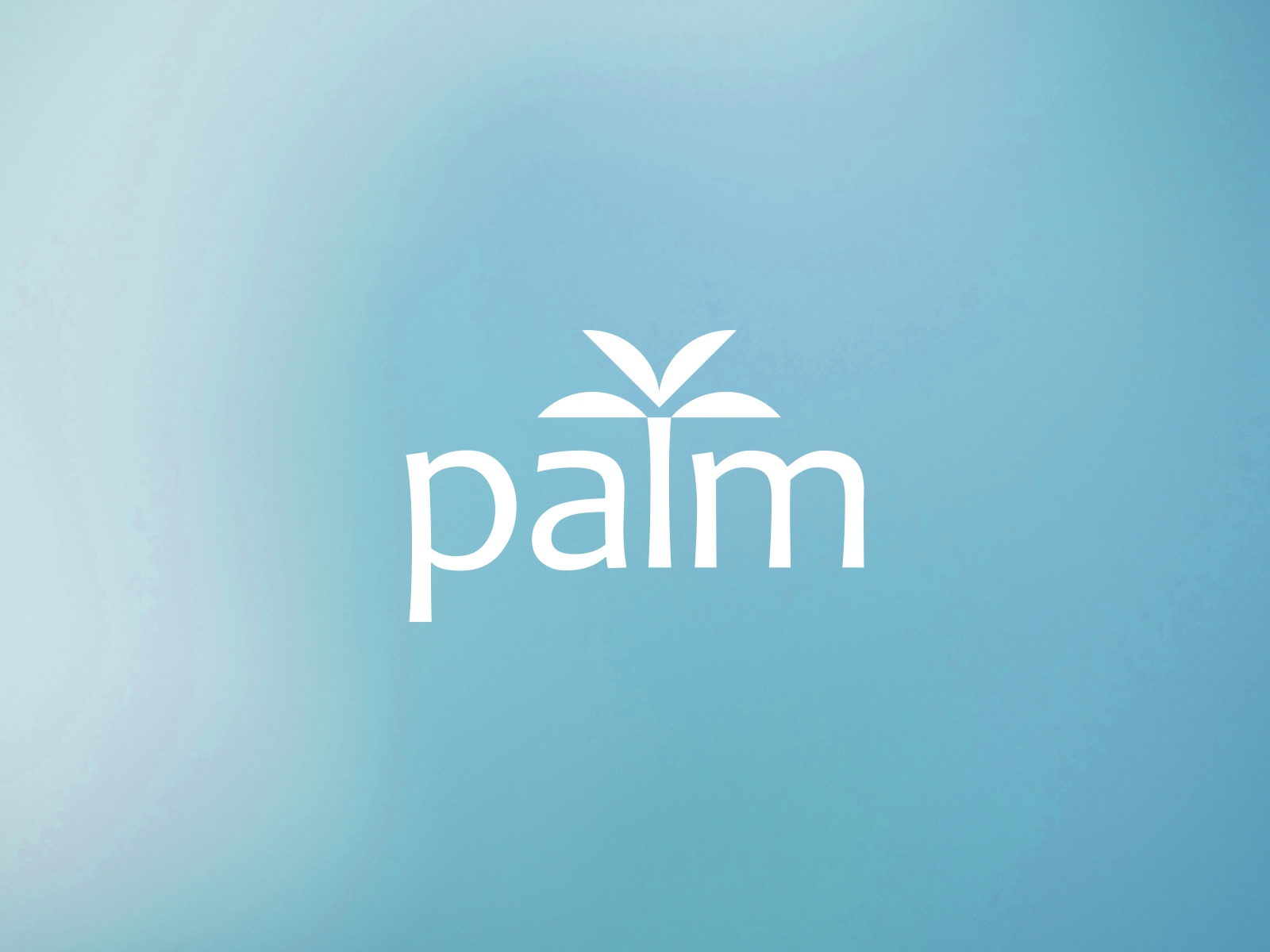 Example of Custom Wordmark Logo | 5 Concepts