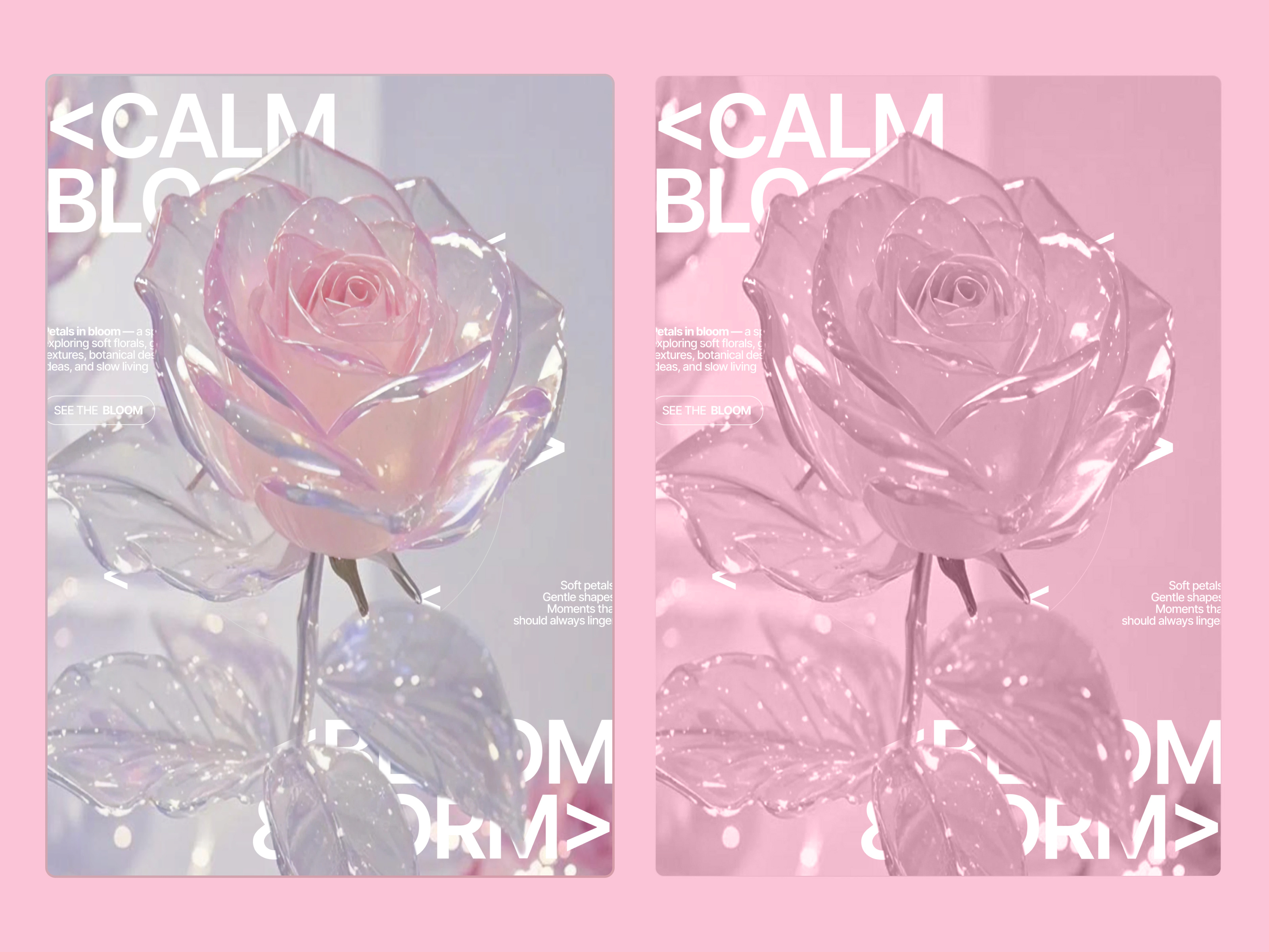 Calm Bloom — Visual Exploration