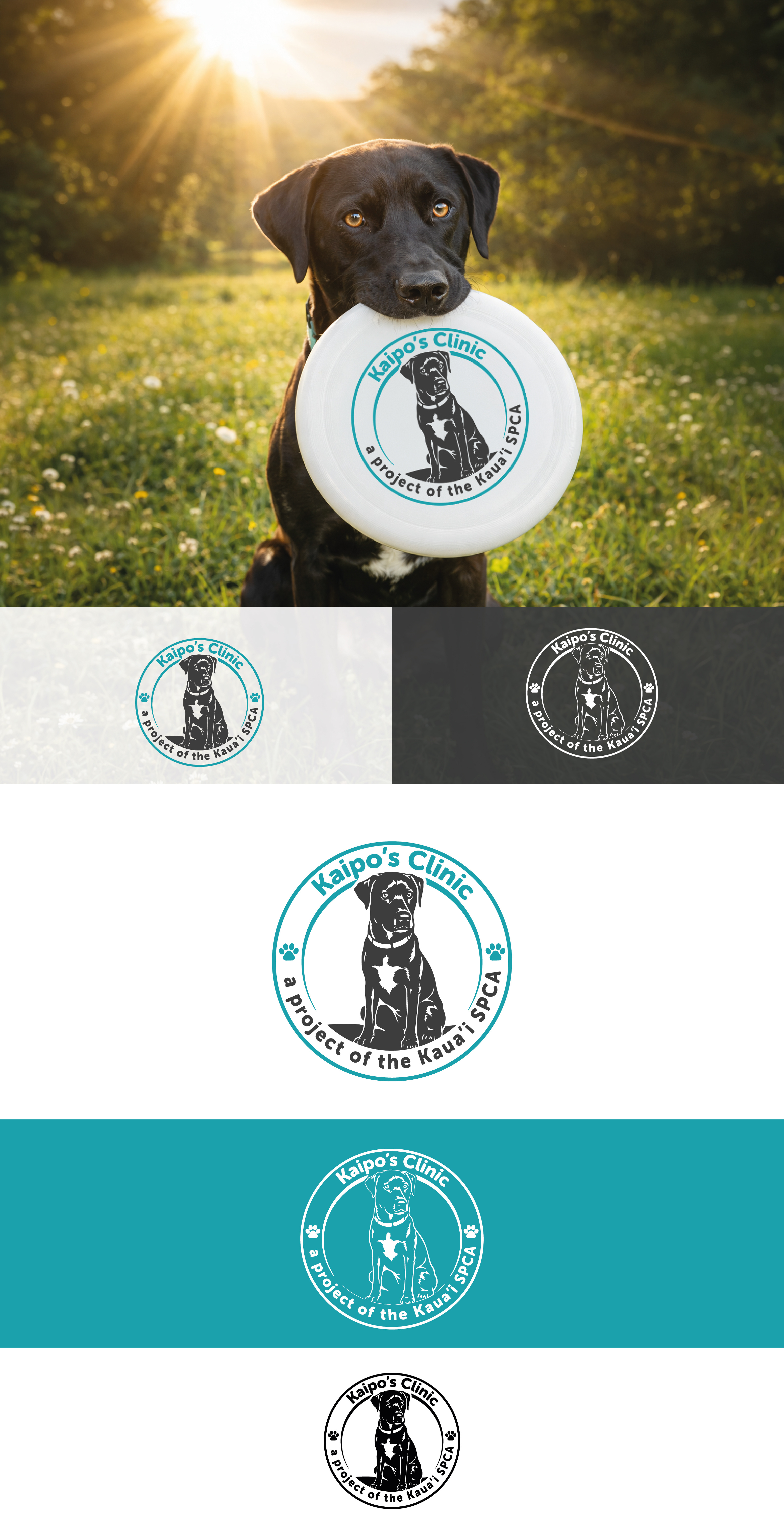 Circular pet clinic badge animal badge charcoal clinic emblem embroidery line art logo monoreverse pet print ready teal vector veterinary