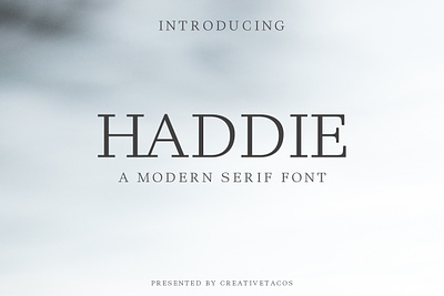 Haddie Modern Serif Font clean font logotype serif font
