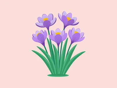 Crocuses 💜💜💜 cartoon colorful crocus crocuses design digital art digital illustration first flower flowers graphic design illustration nature spring spring flower vector vector illustration