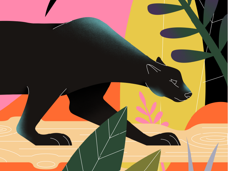 The Jungle Book Graphic Novel Illustration by Zuza Szczepanik on Dribbble