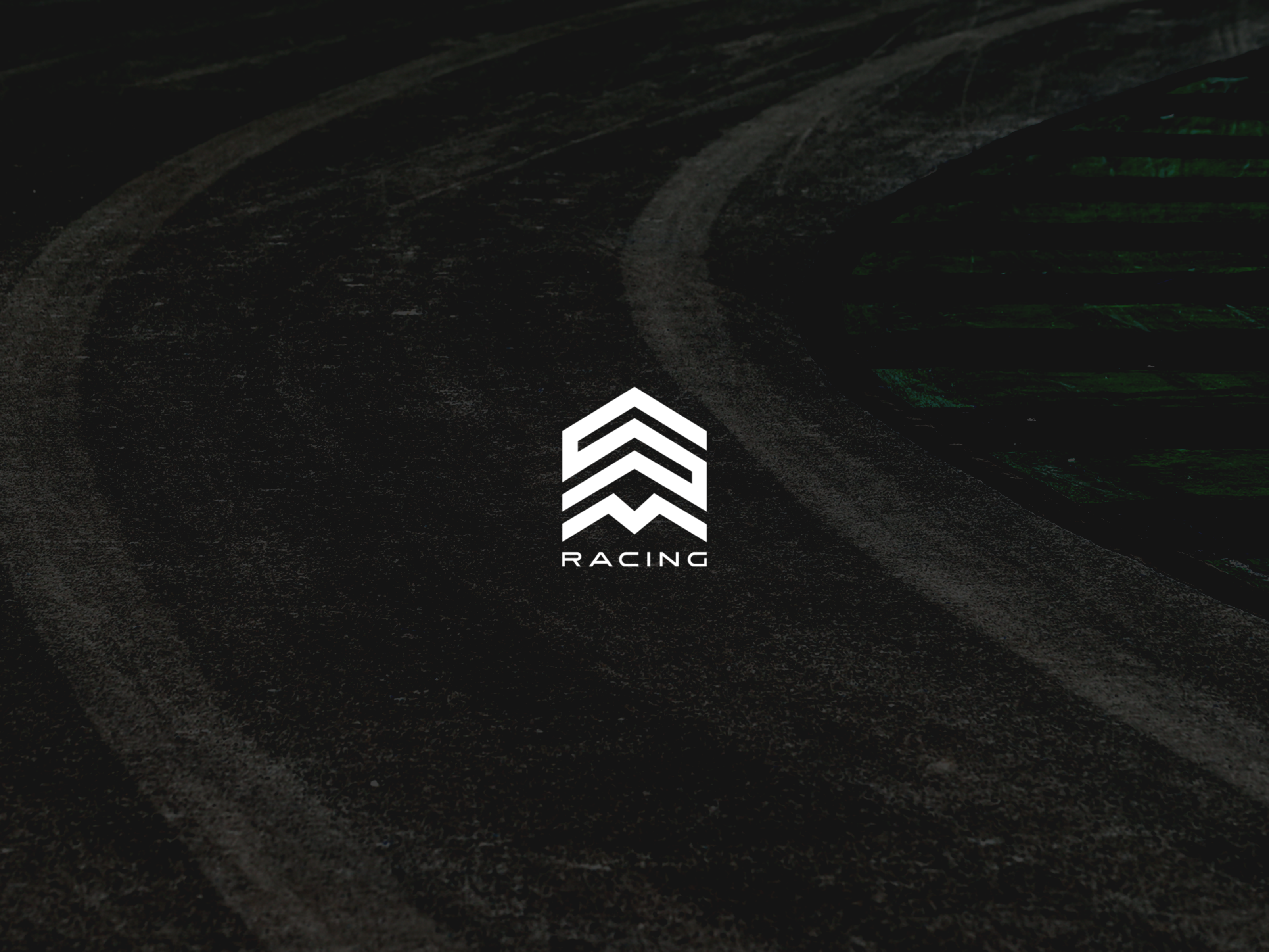 Professional Racing Driver Logotype branding graphic design logo motorsport racing typography