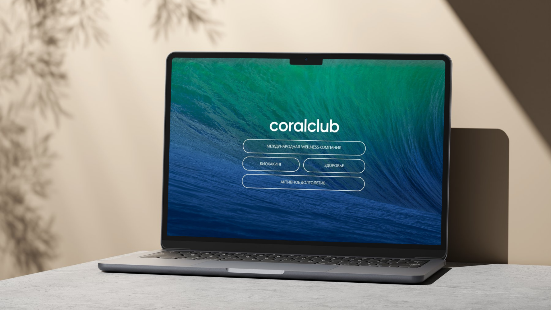 Coral Club - Presentation redesign (freelance project)