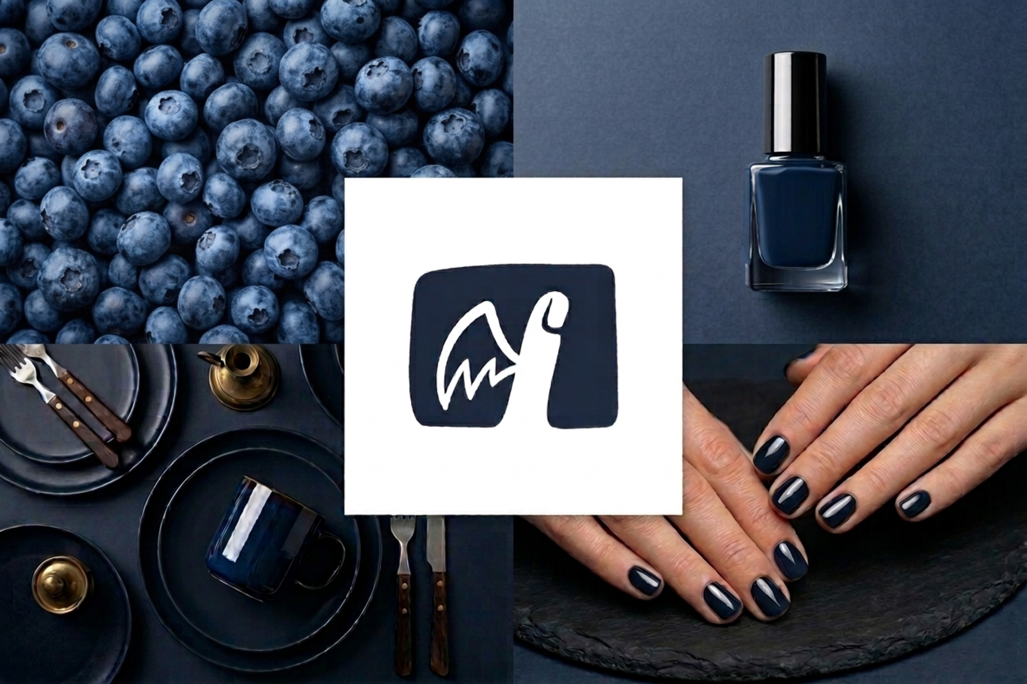 Winged Touch — Logo Design branding finger graphicdesign hand drawn identity logo logos logotype nail nail polish nails sale touch wing