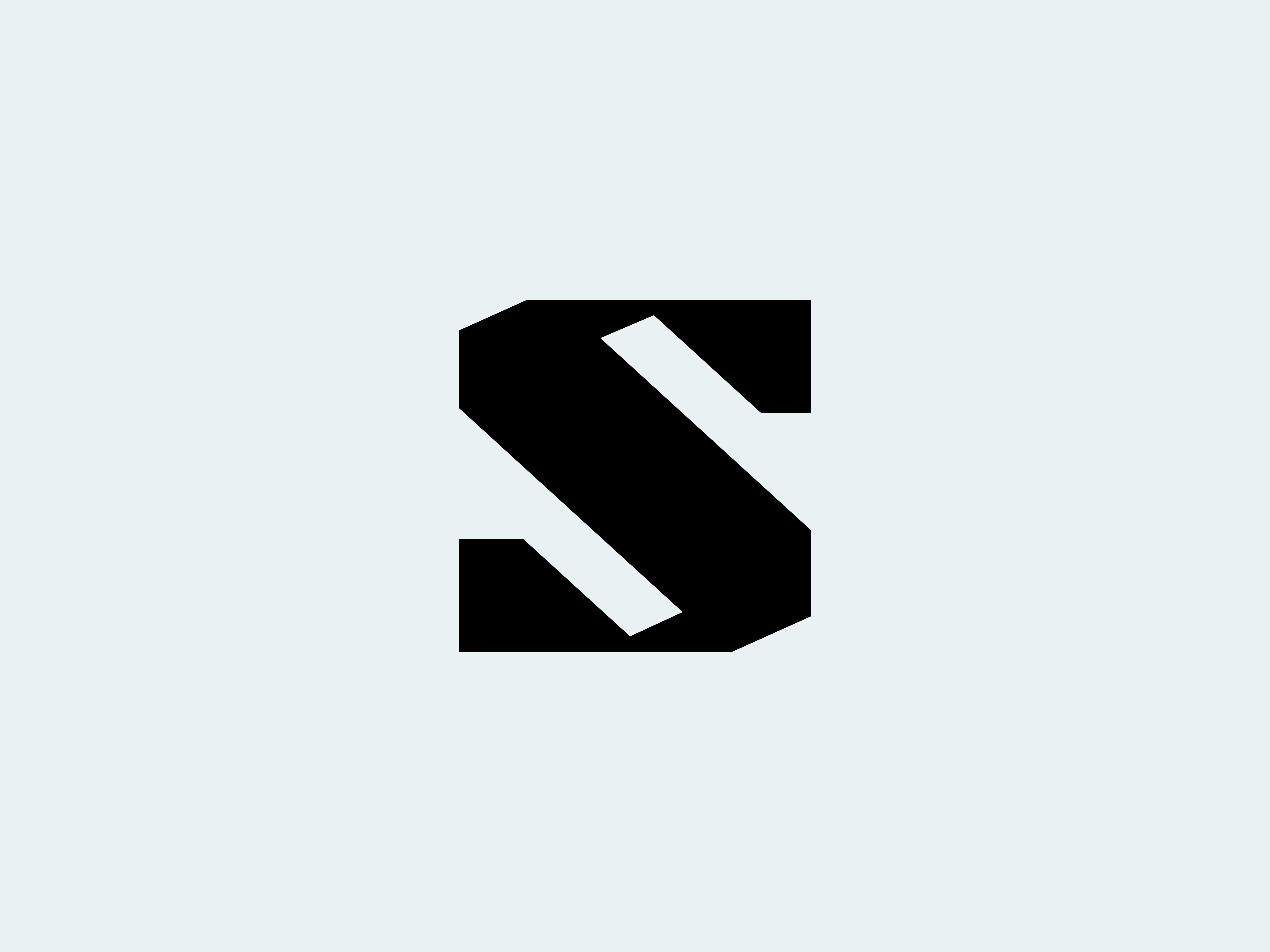 Example of Custom Logo & Brand Identity Design