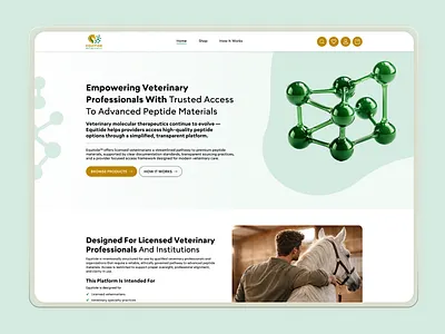 Equitide | Website Design figma design landing page design web design website development