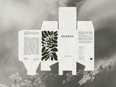 Olema Packaging Dieline beauty box branding cosmetics design dieline graphic design illustration illustrator logo natural packaging procreate sustainable