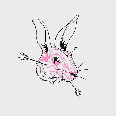 Sketch - Hare colombia design hare illustration medellin procreate sketch