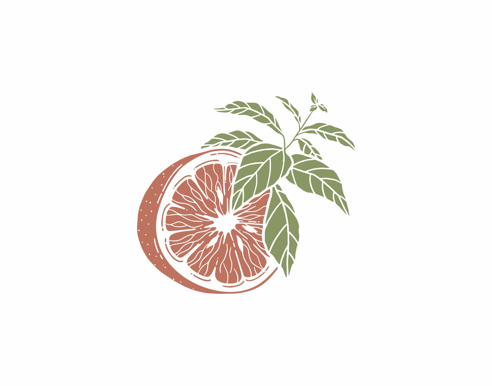 Dose of Dietetics Illustration avocado grapefruit graphic design green illustration line work pink vector