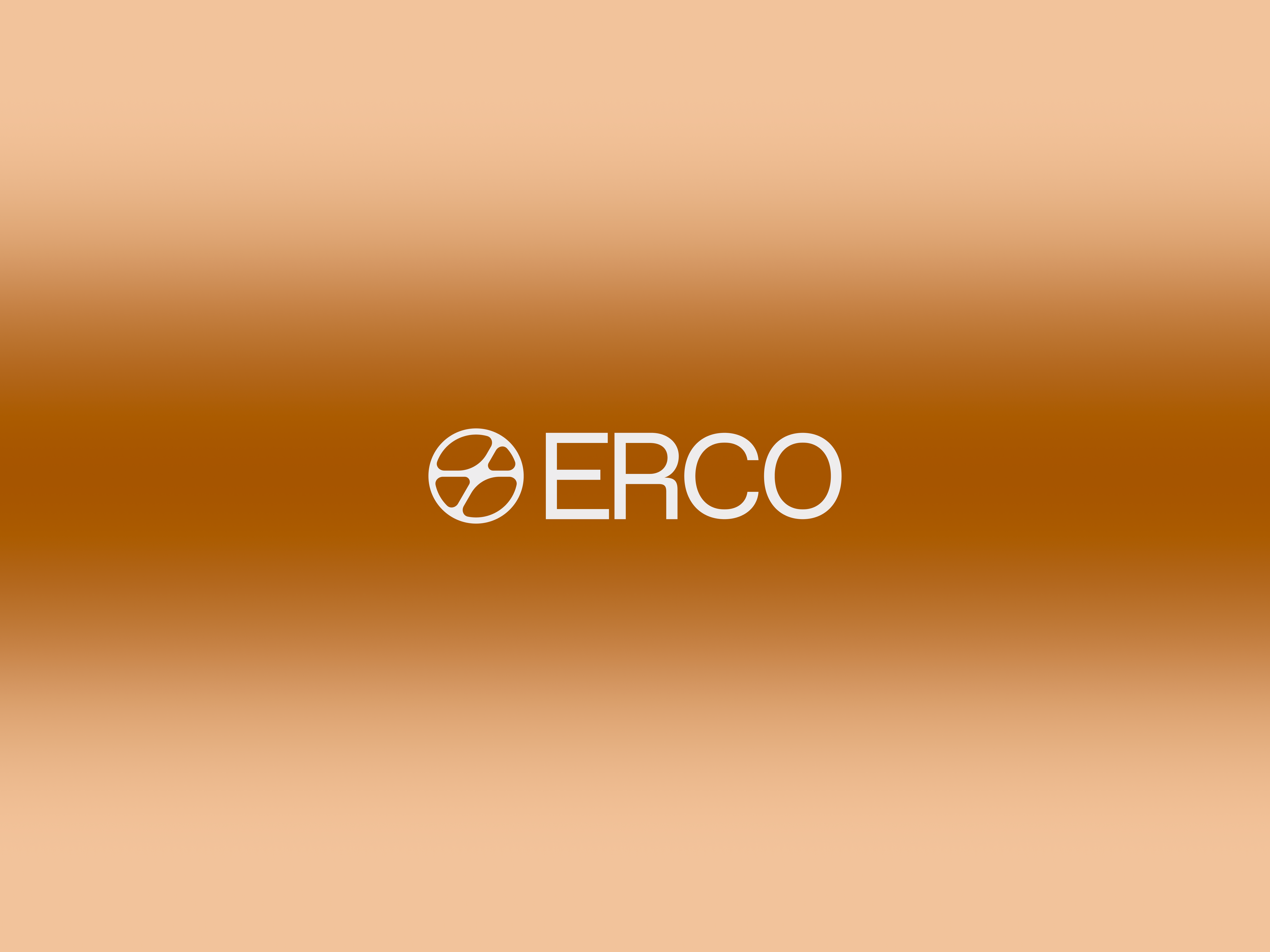 Example of Brand Logo Design • 3 Custom Concepts