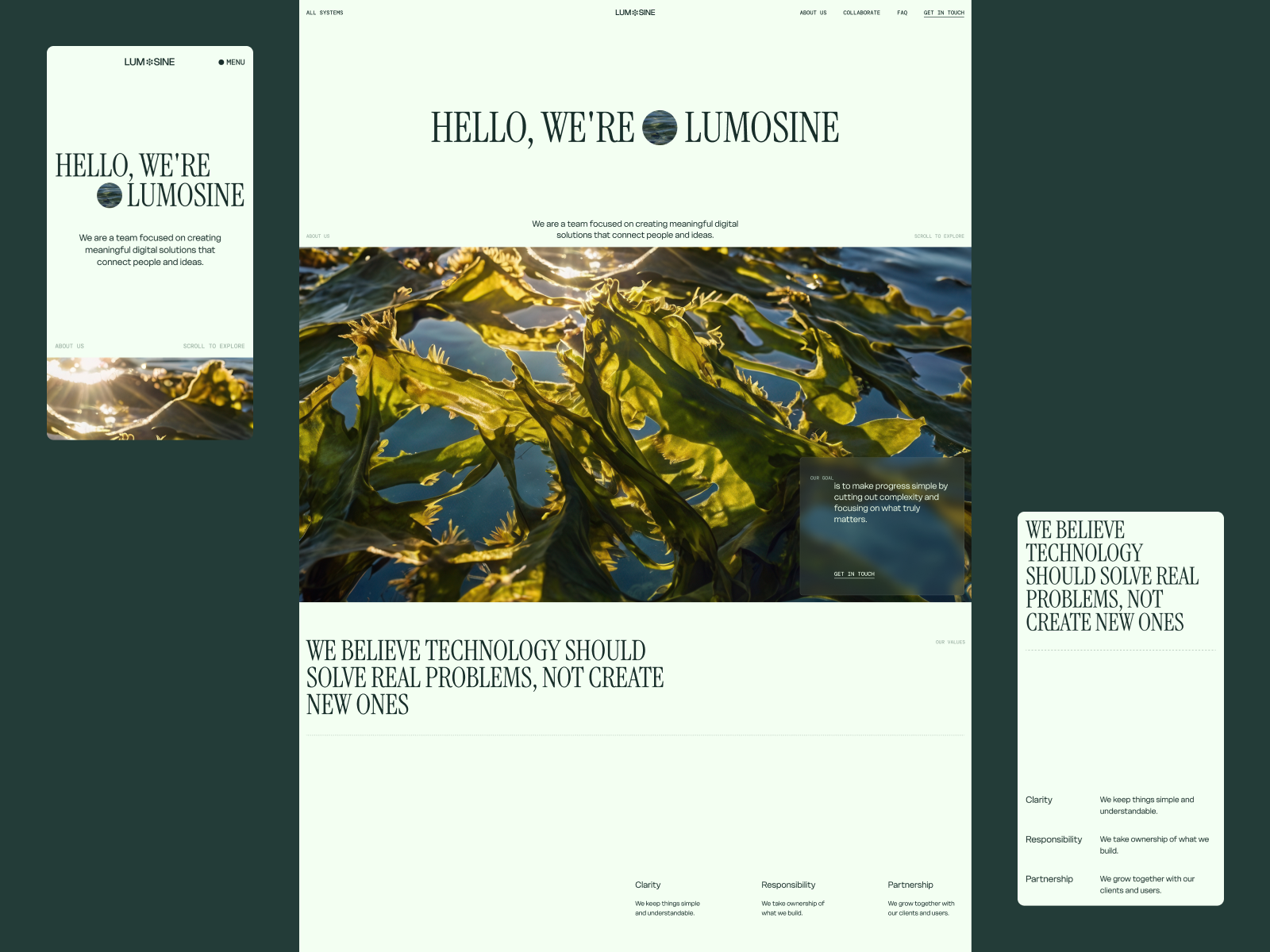 Website About Page | Biomaterials Studio