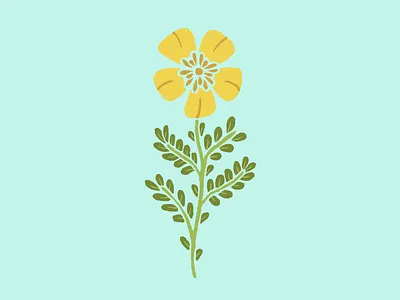 Yellow Flower digital illustration drawing flora floral flower garden illustration plant summer wild flower wildflower yellow yellow flower
